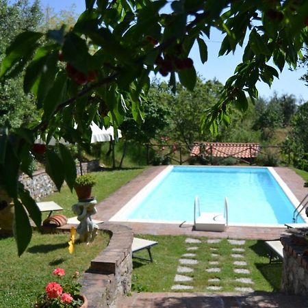 Agriturismo Lo Strettoio Castelnuovo Berardenga Ngoại thất bức ảnh